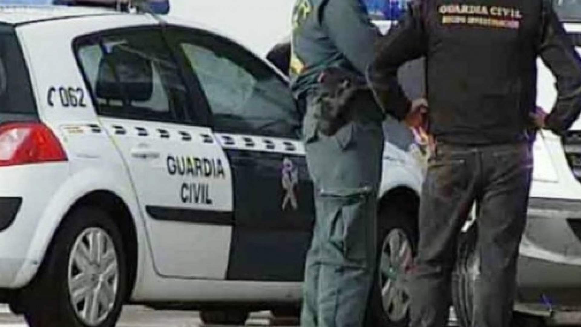 Una criadora de perros de Mallorca es condenada por vacunar a un perro y firmar su pasaporte