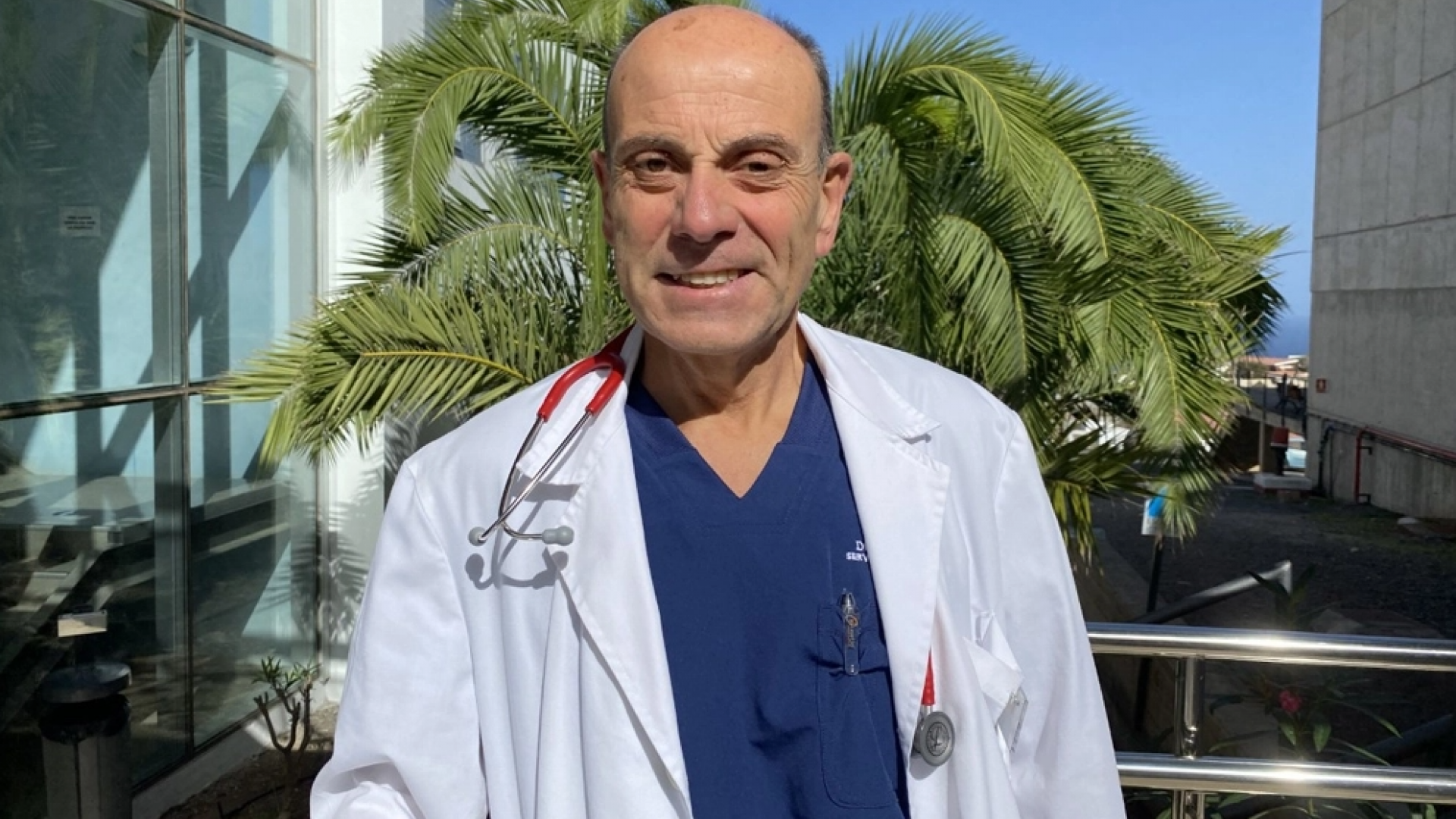 Un estudio en Gran Canaria vincula la infección por Dirofilaria immitis en perros con mayor riesgo de alergias en sus titulares