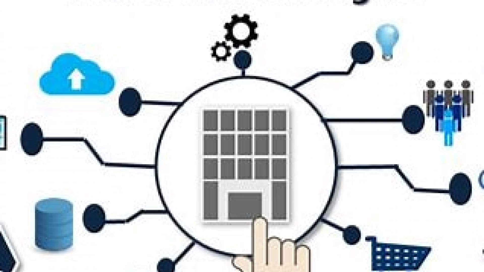 Programa de Transformación Digital