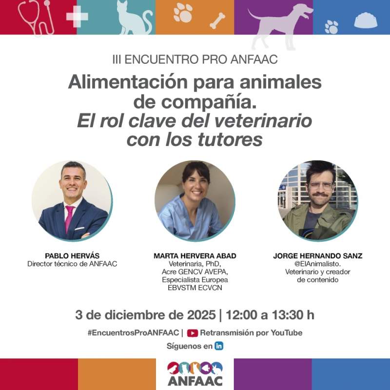 L'important paper del professional veterinari en l'alimentació d'animals de companyia