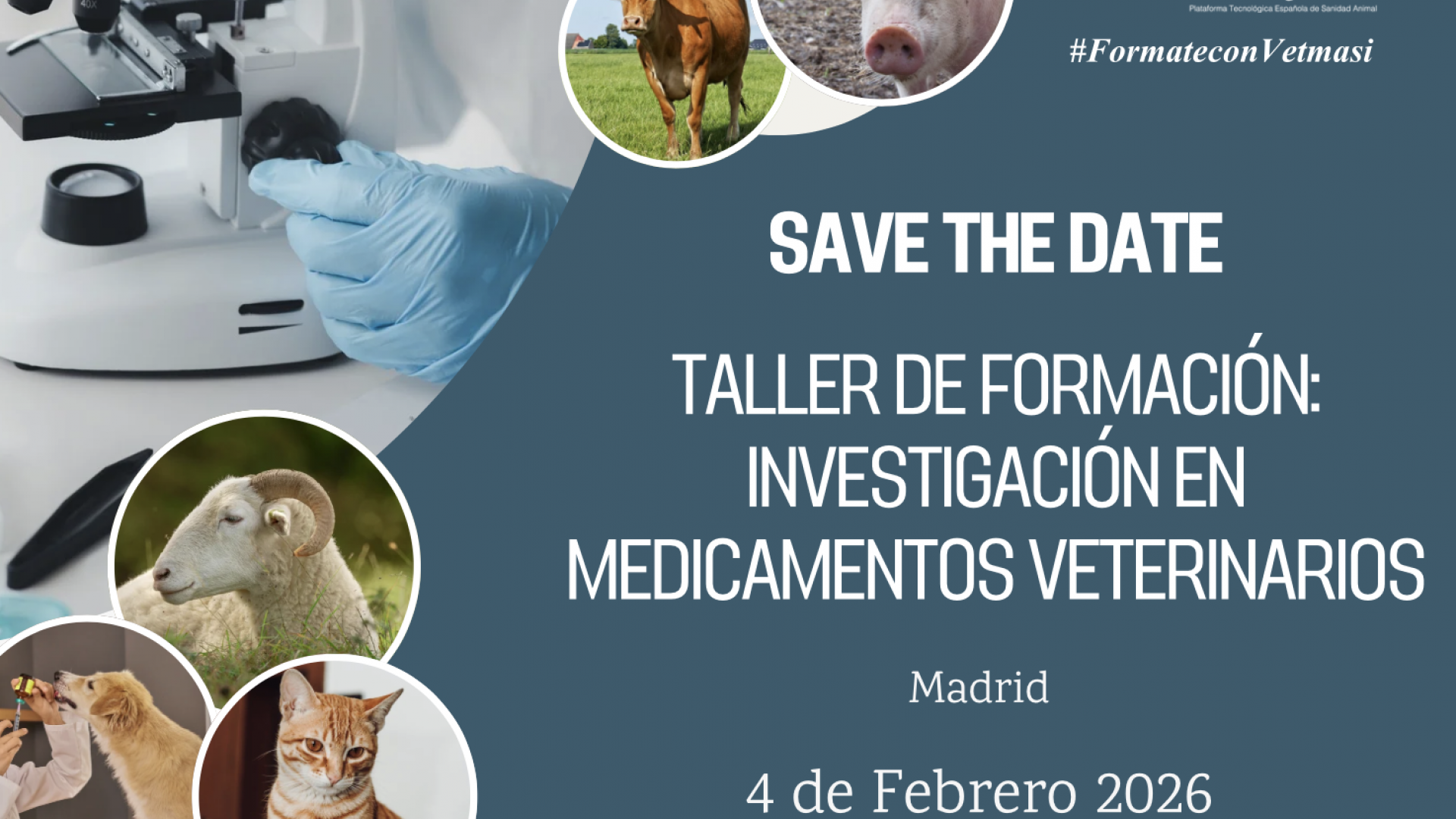 Taller en Investigación en Medicamentos Veterinarios