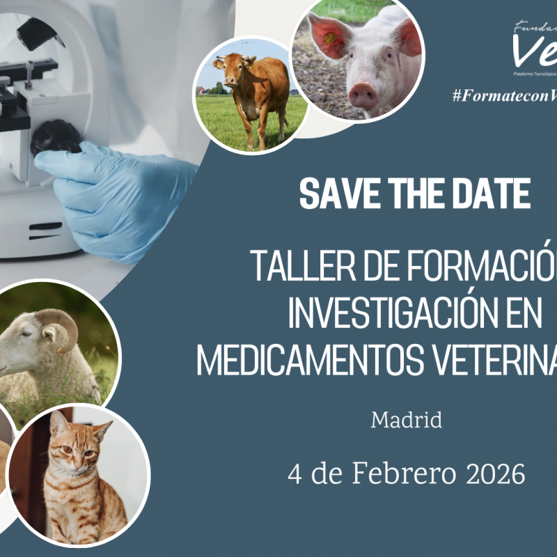 Taller en Recerca en Medicaments Veterinaris